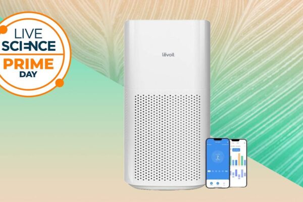 The Levoit Core 600S-P air purifier