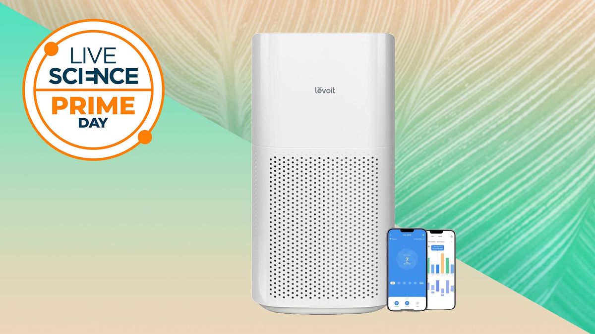 The Levoit Core 600S-P air purifier