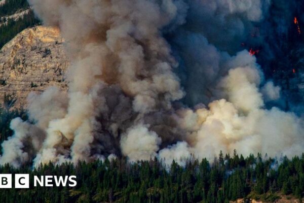 Los investigadores esperan que los enjambres de drones prevengan los incendios