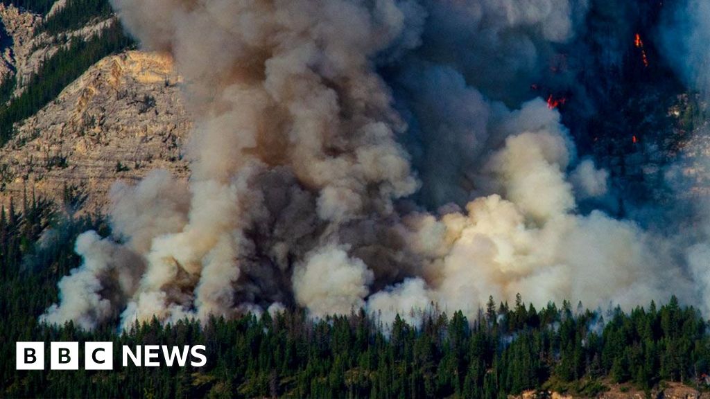 Los investigadores esperan que los enjambres de drones prevengan los incendios