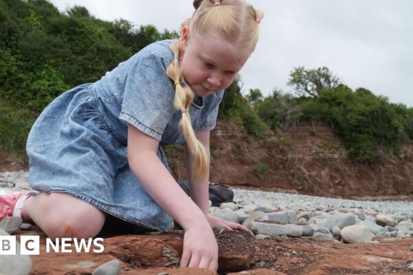 Huella de dinosaurio de una colegiala descubierta en la playa de Vale of Glamorgan