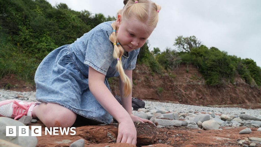 Huella de dinosaurio de una colegiala descubierta en la playa de Vale of Glamorgan