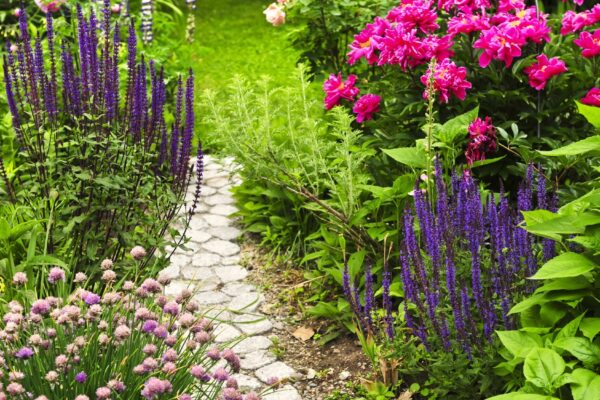 ¿En qué zona de jardinería estoy? Encuentre la zona de rusticidad de sus plantas del USDA.