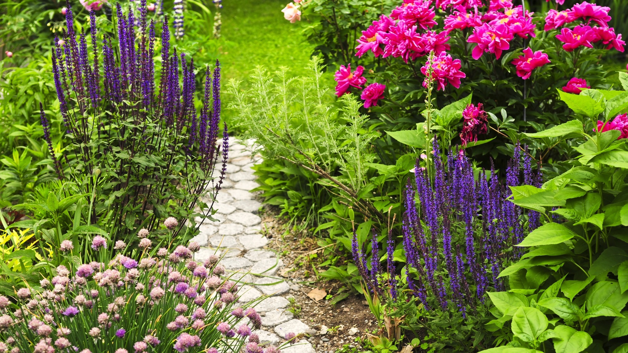 ¿En qué zona de jardinería estoy? Encuentre la zona de rusticidad de sus plantas del USDA.