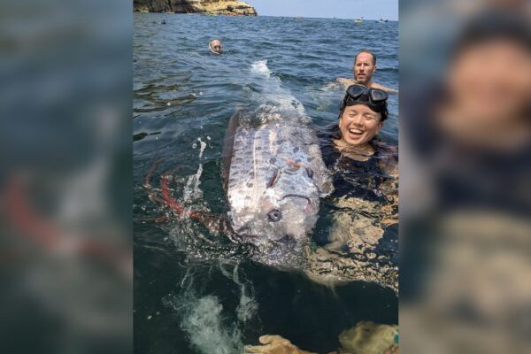 A woman smiles in the water next to a huge long fish