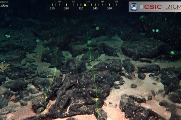 An underwater picture showing a rocky seafloor