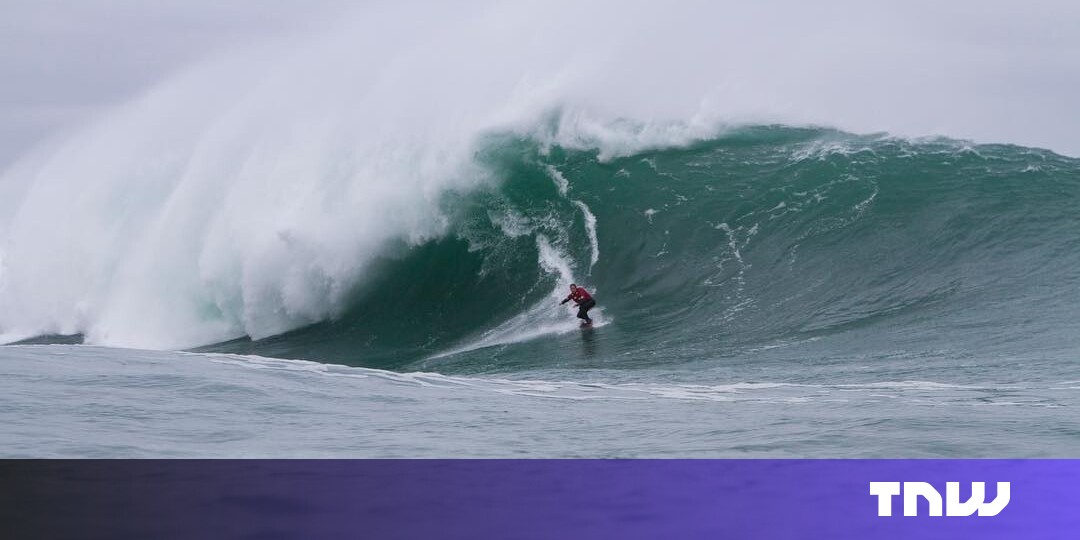 Un surfista de olas grandes sale del barril con un fondo de 120 millones de dólares para la agricultura regenerativa