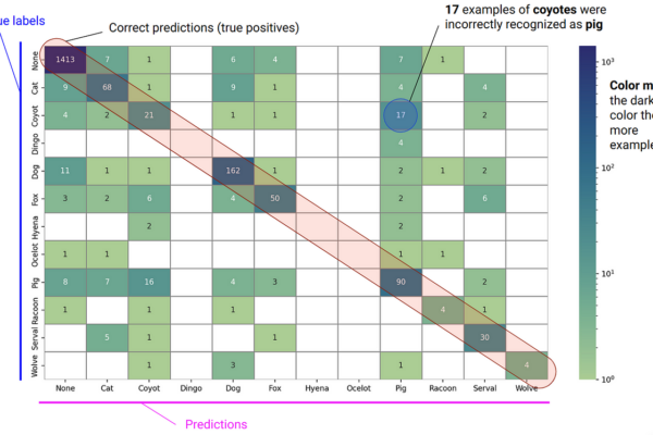Mapa de calor para Matriz de confusión en Python | por Michał Marcińczuk, Ph.D. septiembre de 2024