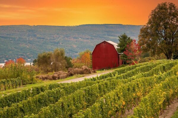 Los mejores estados de EE.UU. para visitar bodegas, según un sumiller