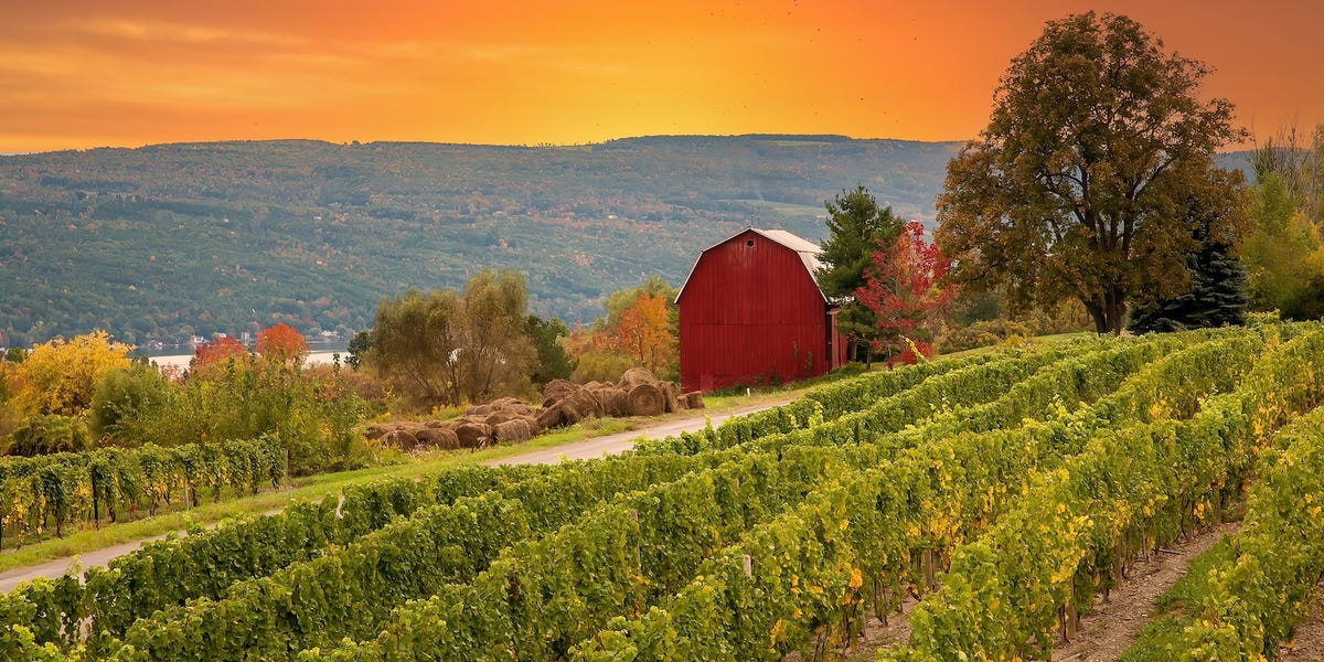 Los mejores estados de EE.UU. para visitar bodegas, según un sumiller