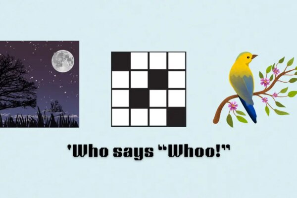 Picture showing the who says Whoo clue cover in NYT Mini Crossword.