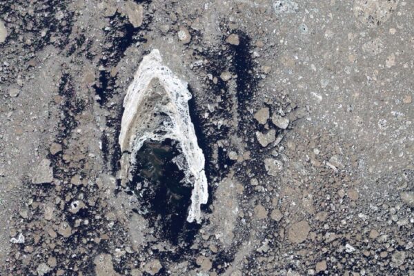 A satellite photo of an arrowhead shaped piece of sea ice that looks like the Starfleet badge from Star Trek