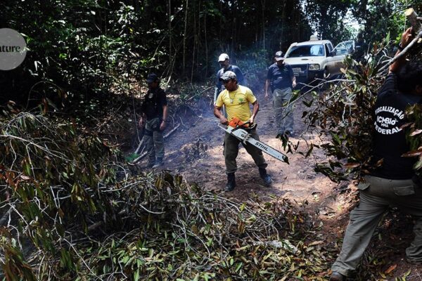 Cómo la conquista y la matanza diezmaron los paisajes de todo el mundo