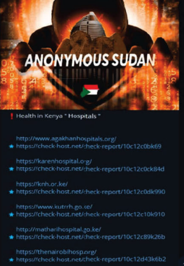 Hermanos sudaneses arrestados durante el derribo de 'AnonSudan' – Krebs sobre seguridad