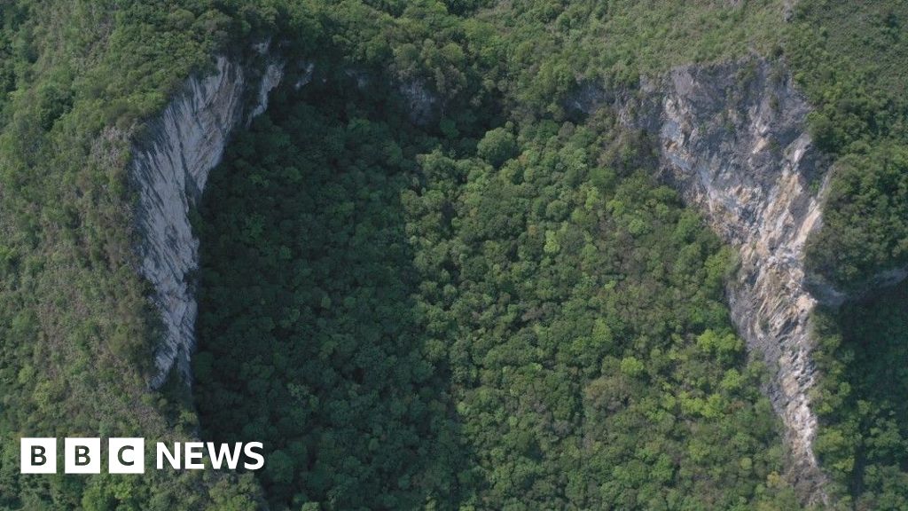 El auge del turismo amenaza los bosques milenarios