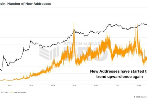 ¿Están los inversores minoristas detrás del aumento del precio de Bitcoin durante esta corrida alcista?