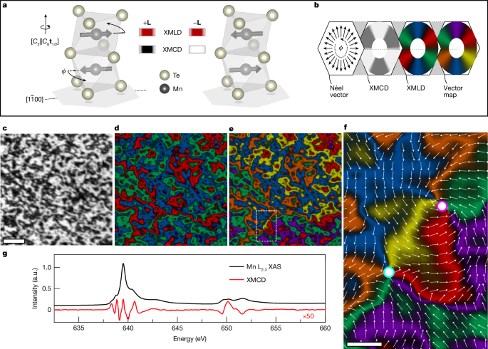 Imágenes a nanoescala y control del altermagnetismo en MnTe.