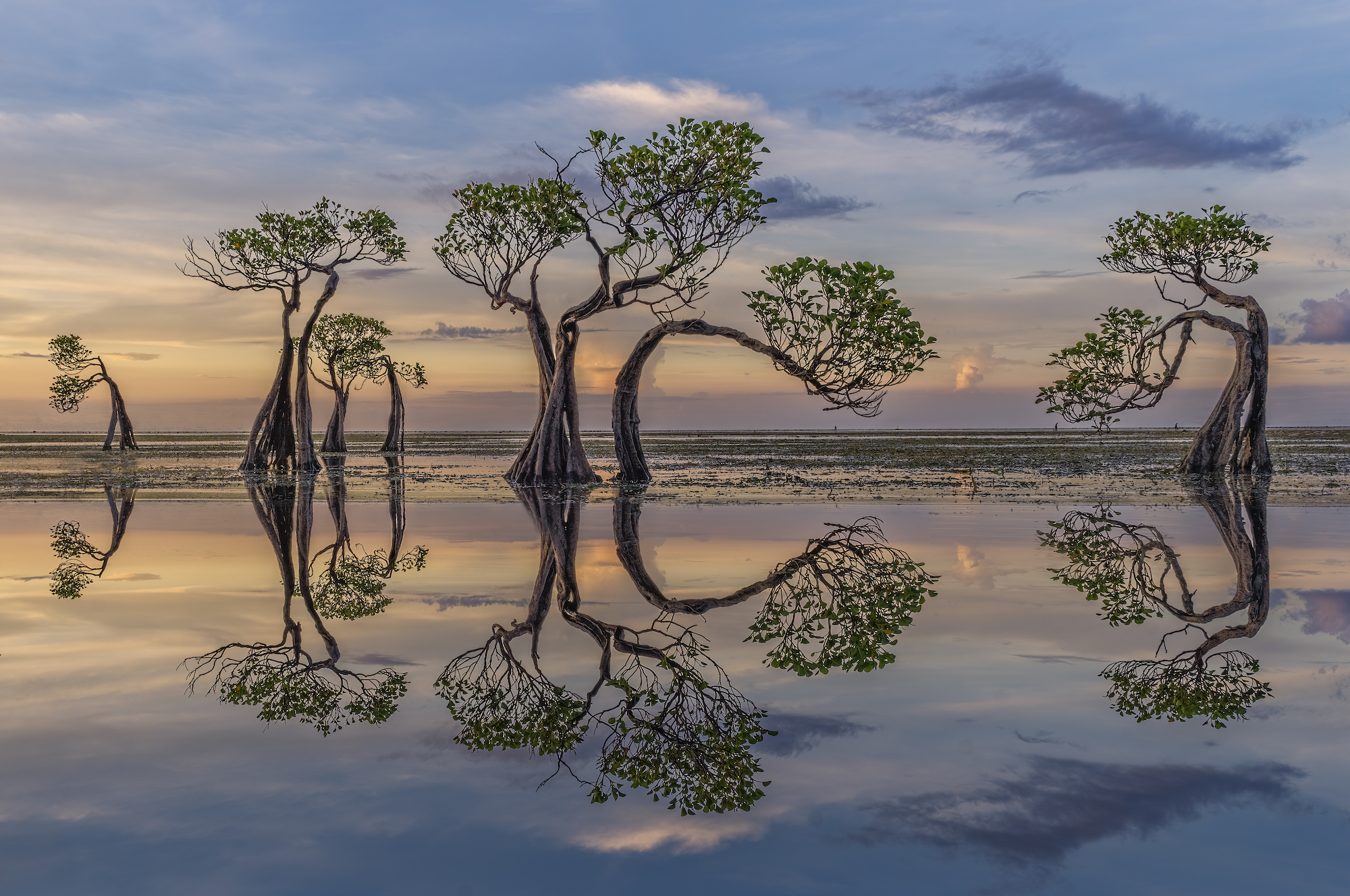 13 impresionantes imágenes del fotógrafo paisajista internacional del año