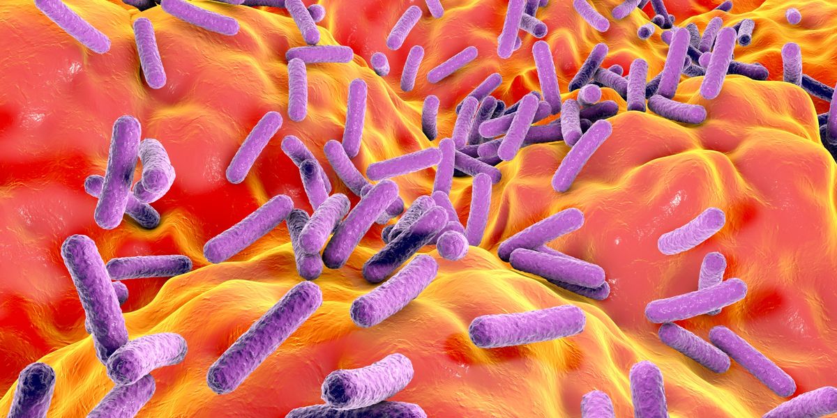 Diez historias de 'superbacterias' de 2024, desde la 'kriptonita' bacteriana hasta los antibióticos de las profundidades marinas