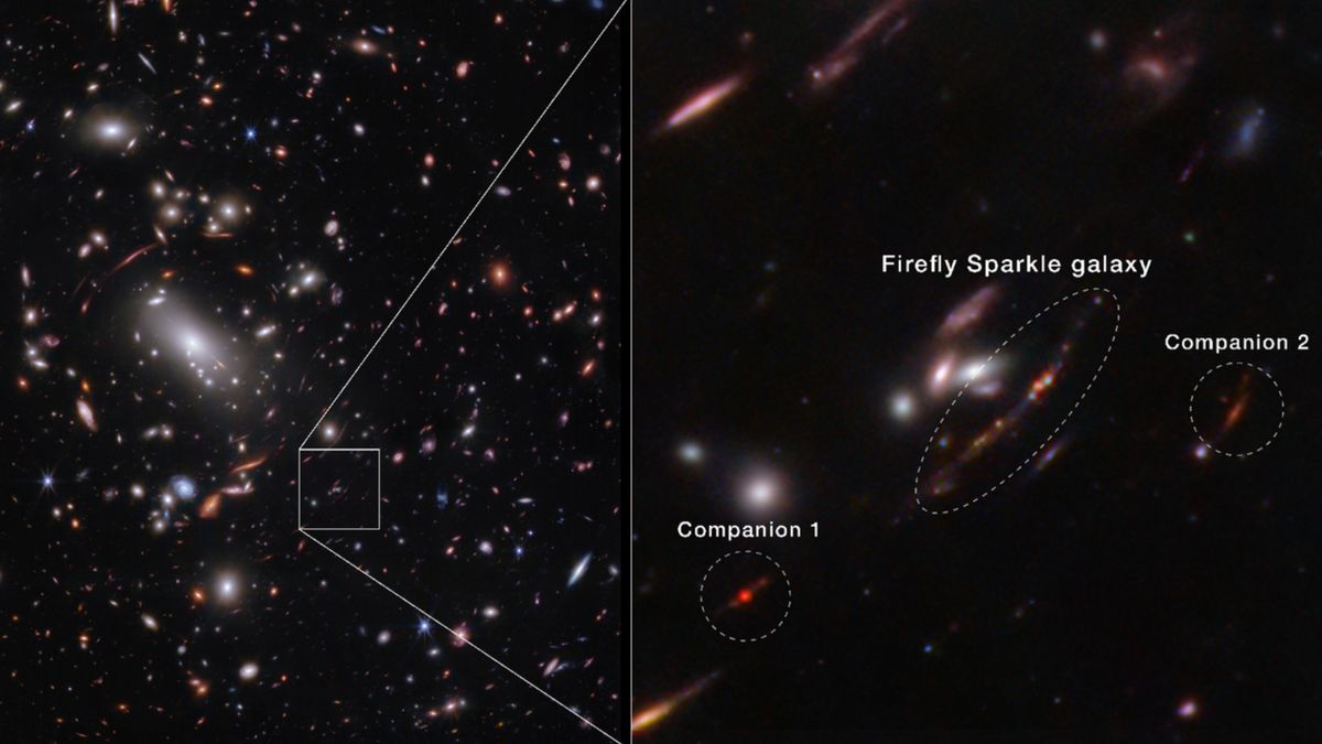 El telescopio James Webb espía la impresionante galaxia “Firefly Sparkle”, un clon bebé de la Vía Láctea que se ensambla “ladrillo a ladrillo” en el universo primitivo.