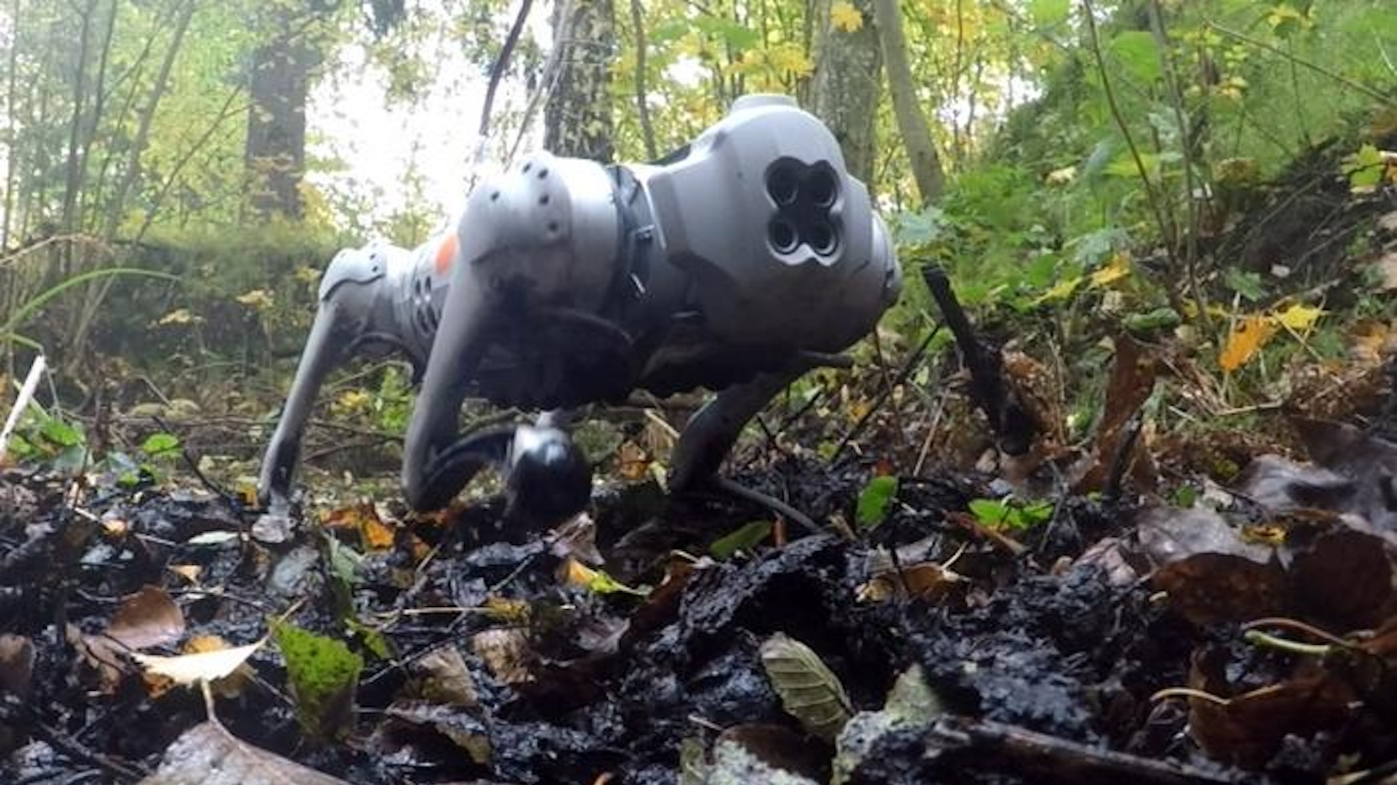 Los perros robot pueden caminar por el barro con pezuñas inspiradas en los alces