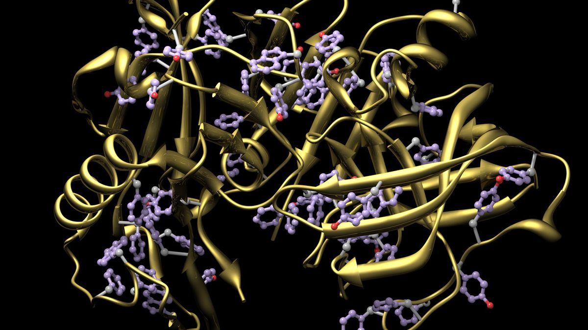 Illustration of the structure of a protein in yellow, purple and red against a black background.