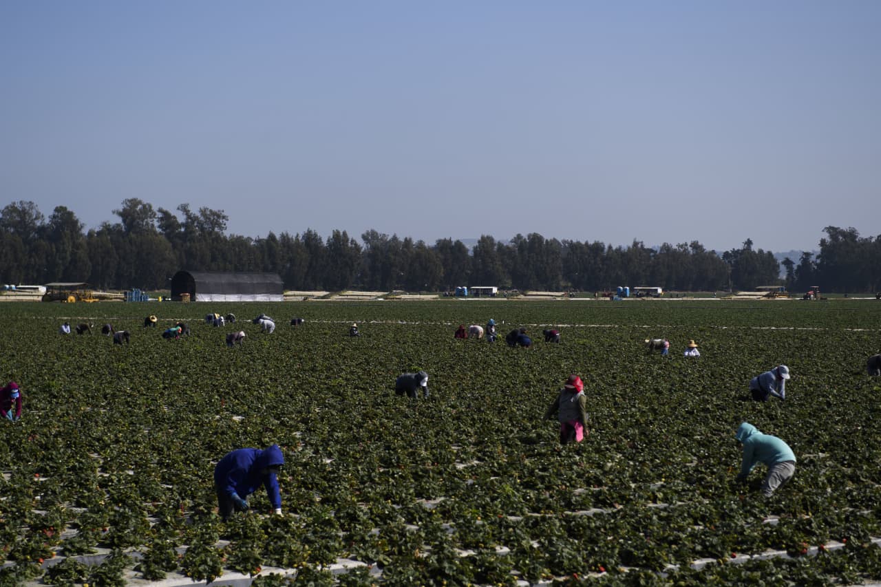 Por qué deportar a trabajadores indocumentados alimentará la inflación y hundirá la Seguridad Social