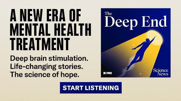 Los fragmentos de plástico penetran en cerebros humanos