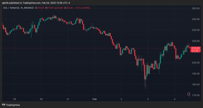 Samecoins El «Cuenta determinante de 2024», ¿los agentes de la IA entonces?